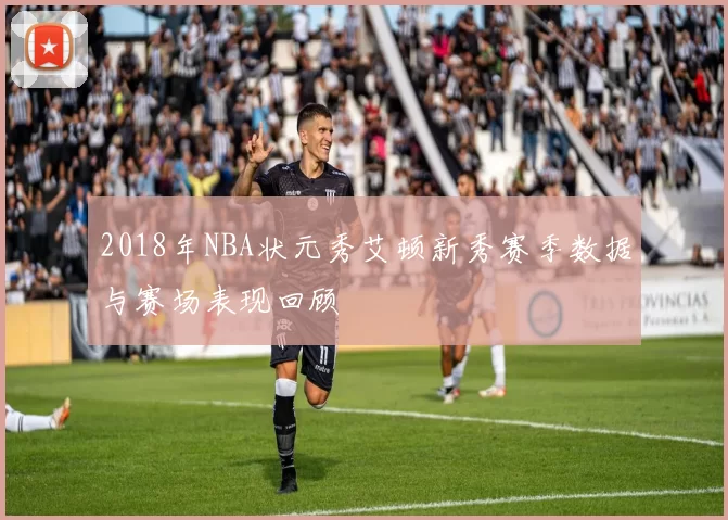 2018年NBA状元秀艾顿新秀赛季数据与赛场表现回顾