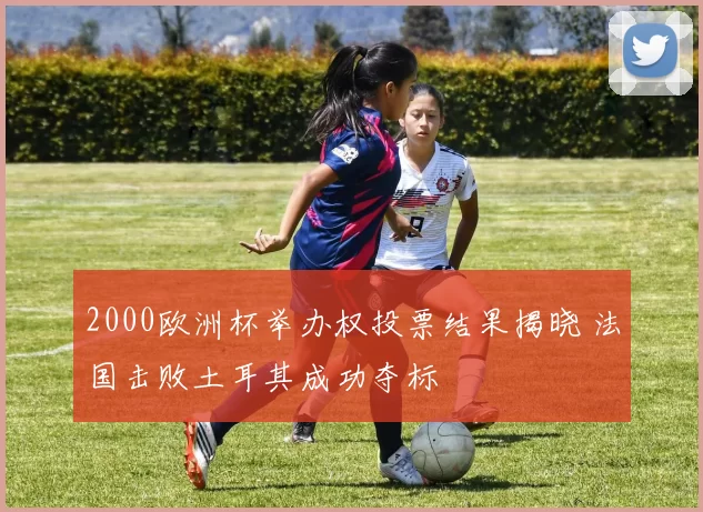 2000欧洲杯举办权投票结果揭晓 法国击败土耳其成功夺标