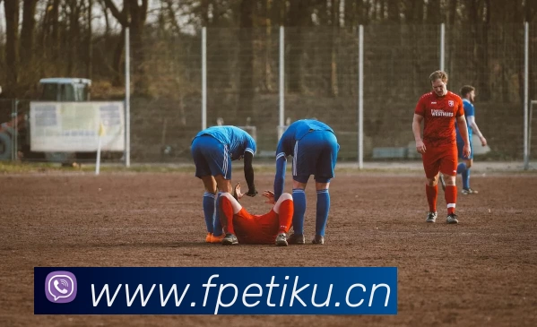 数据防护可视化